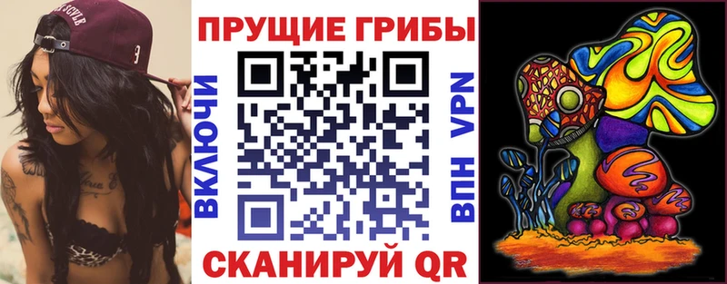 Псилоцибиновые грибы ЛСД  Светлогорск 