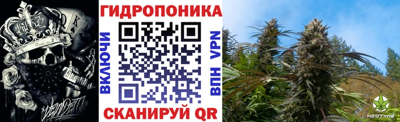 Бошки марихуана семена  Светлогорск 